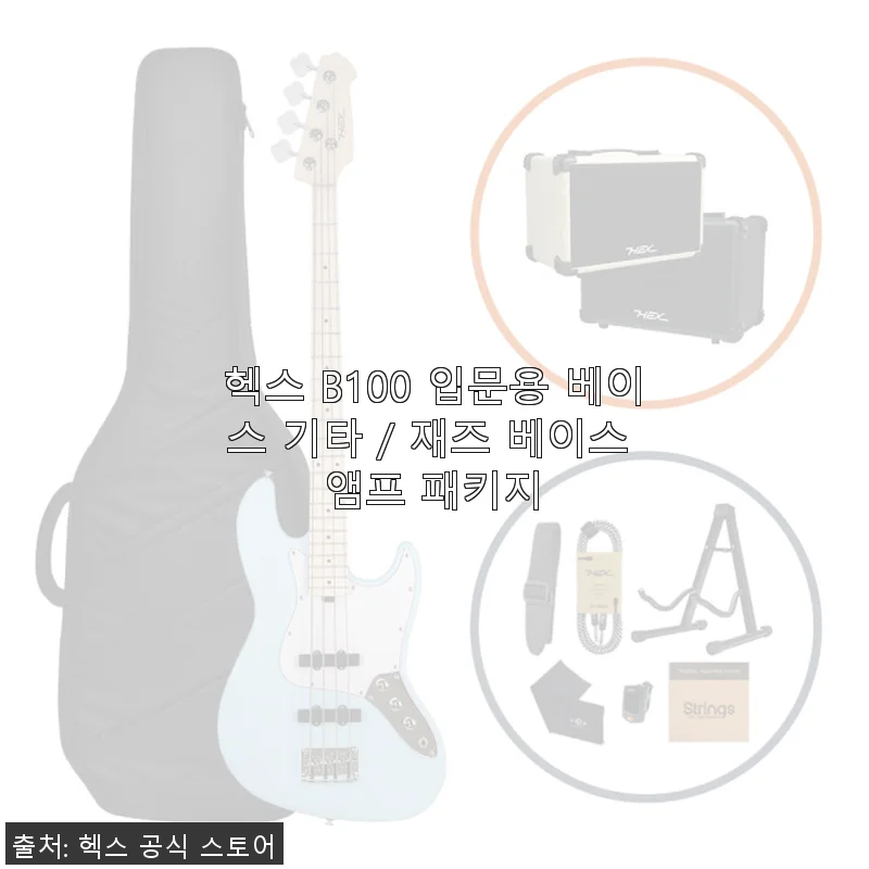 헥스 B100 입문용 베이스 기타 / 재즈 베이스 앰프 패키지 사용 후기