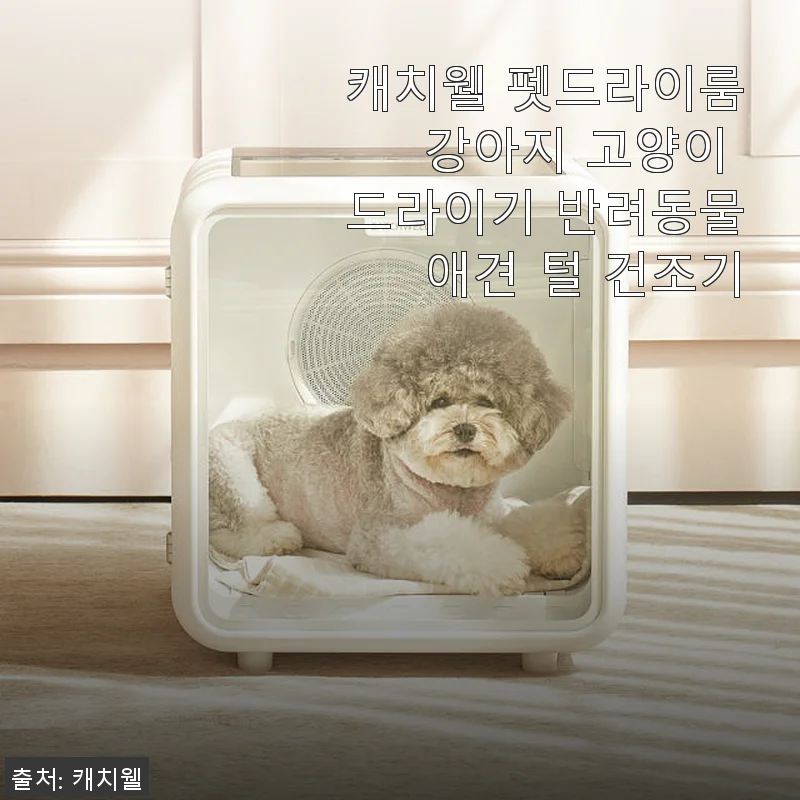 캐치웰 펫드라이룸 사용후기 - 강아지 목욕 후 털 말리기 혁신