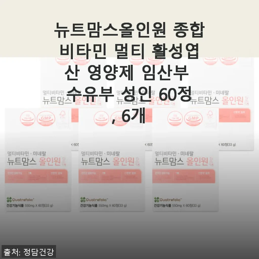 뉴트맘스올인원 종합비타민 멀티 활성엽산 영양제 사용후기