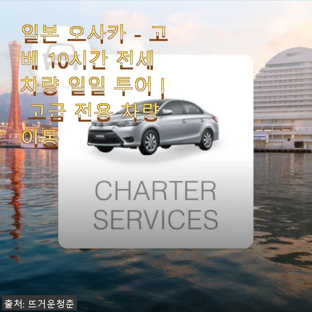 오사카-고베 10시간 전세 차량 투어 사용후기: 편안하고 효율적인 여행 동반자