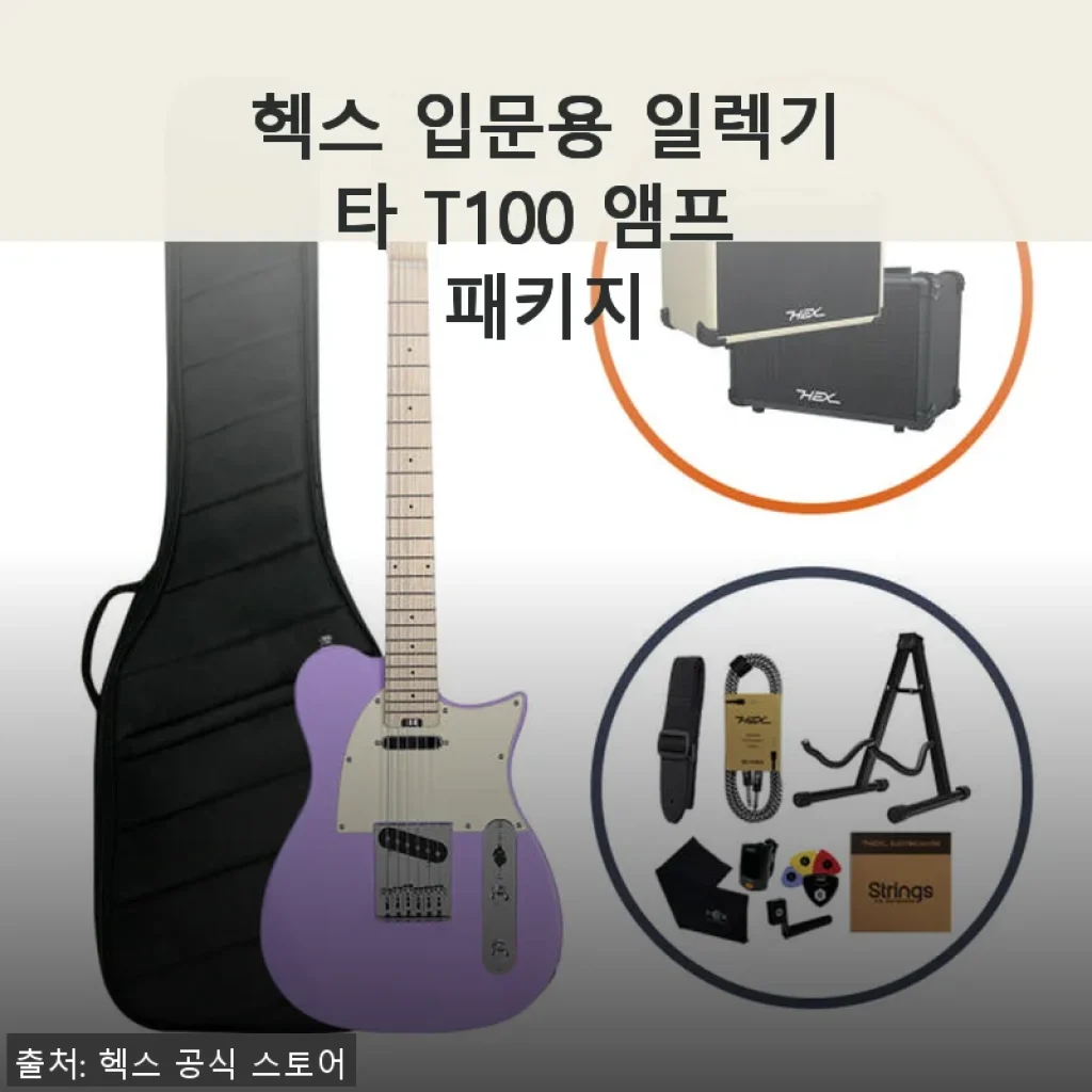 헥스 입문용 일렉기타 T100 앰프 패키지 사용후기