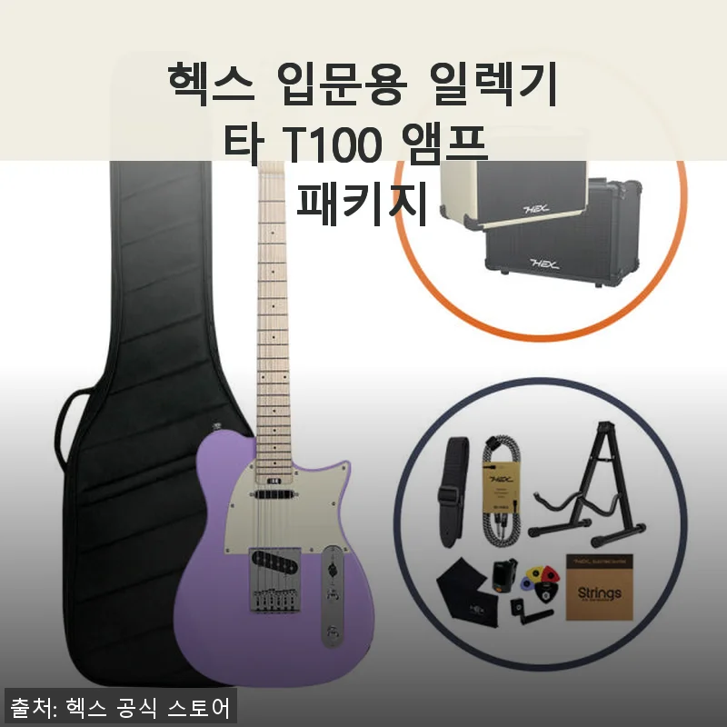 헥스 입문용 일렉기타 T100 앰프 패키지 사용후기