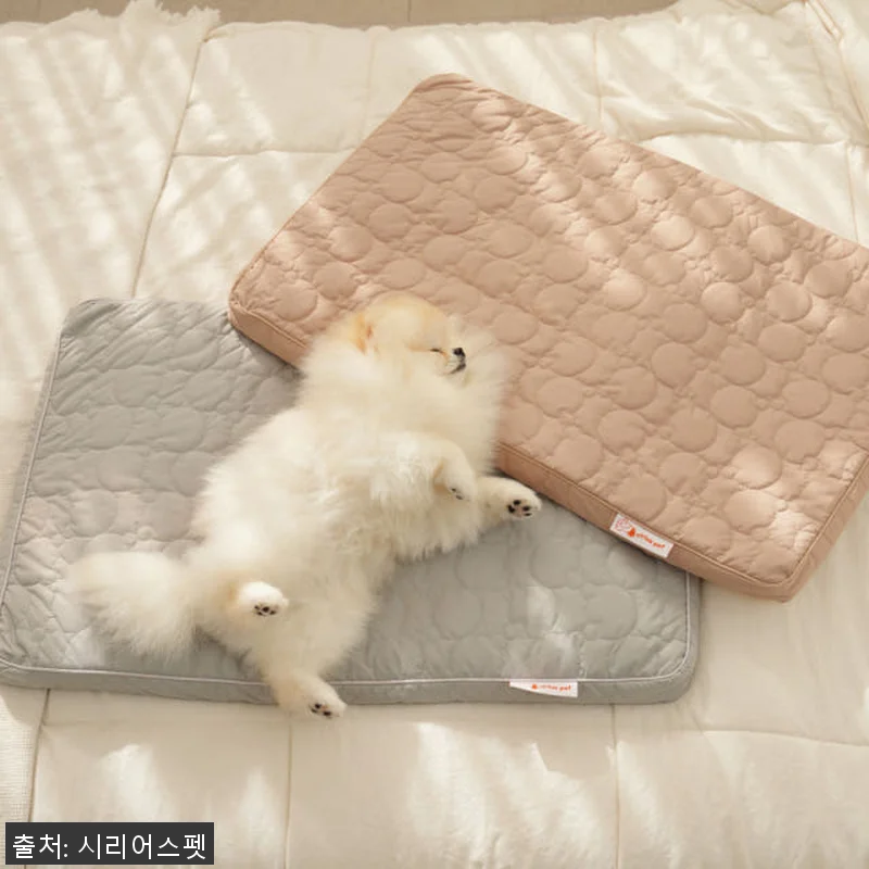 시리어스펫 슬개골 탄탄베드 사용후기: 관련 이미지 1