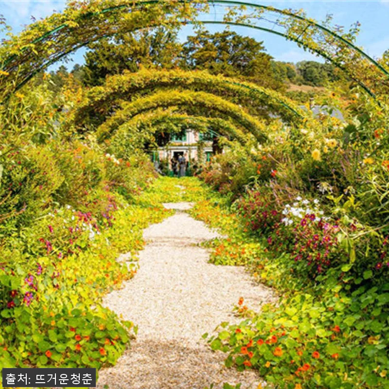 프랑스 파리 일일투어 : 클로드 모네 관련 이미지 1