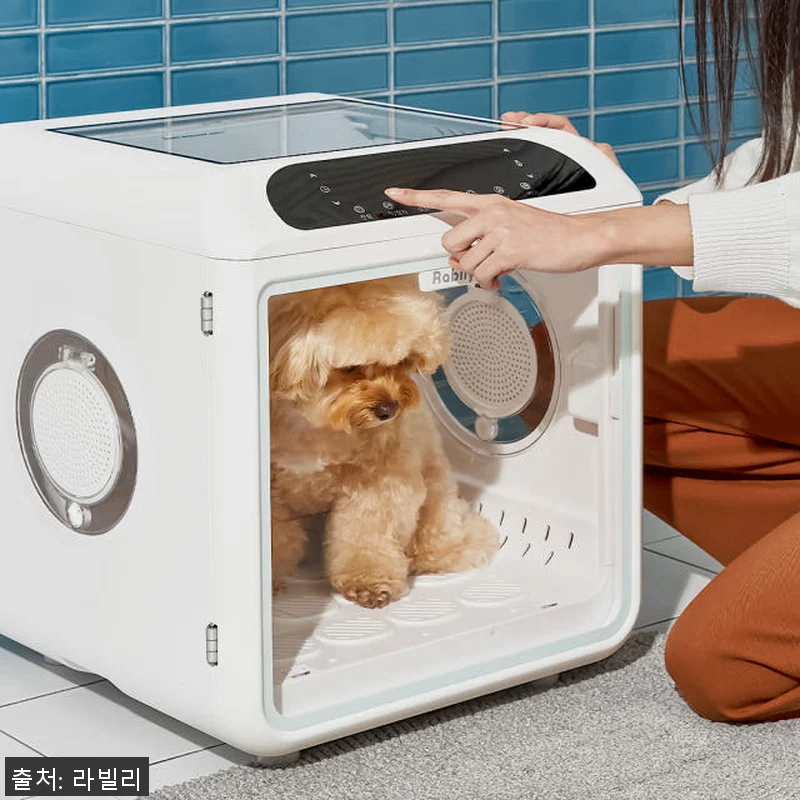 라빌리 펫드라이룸 사용후기: 반려동물 관련 이미지 1