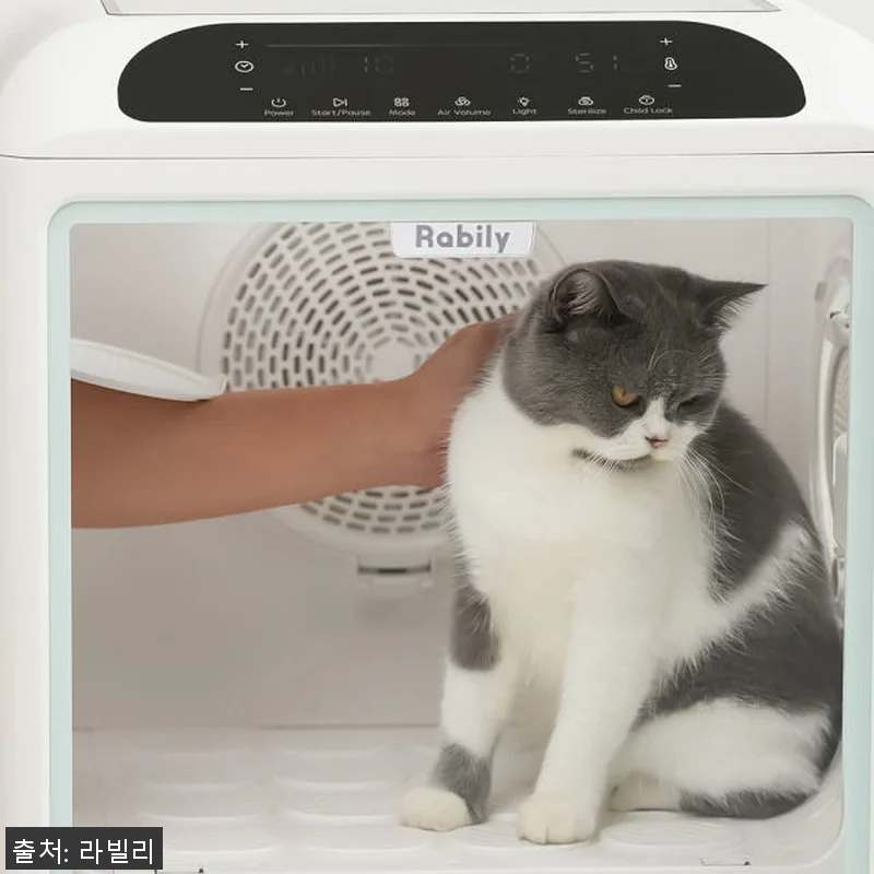 라빌리 펫드라이룸 사용후기: 반려동물 관련 이미지 2