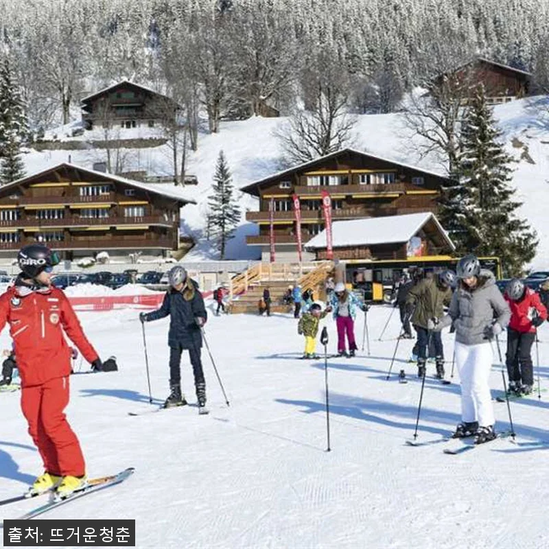 스위스 알프스 스키 체험 후기: 취리 관련 이미지 2