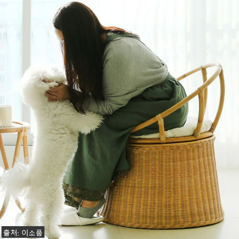 라탄 고양이집 의자 숨숨집 사용후기: 관련 이미지 2