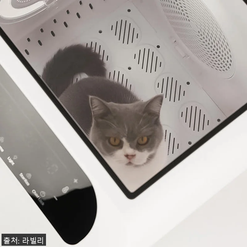 라빌리 펫드라이룸 사용후기: 반려동물 관련 이미지 4