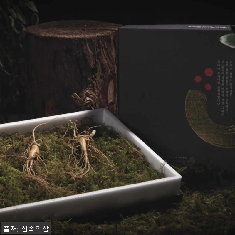 국내산 6년근 실속형 산양산삼 10개 관련 이미지 4