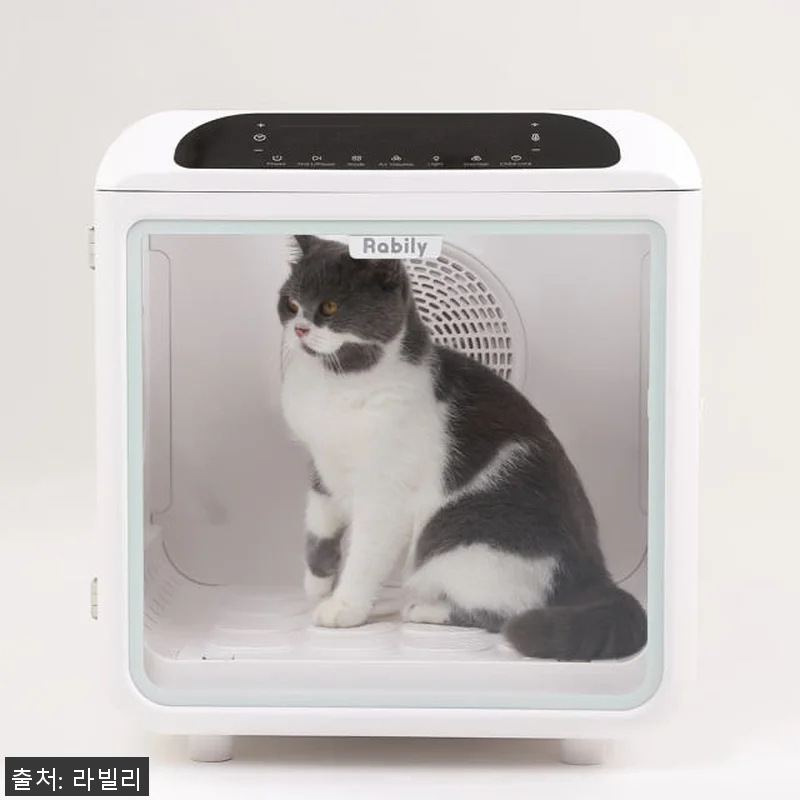 라빌리 펫드라이룸 사용후기: 반려동물 관련 이미지 5