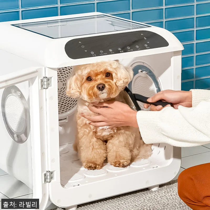 라빌리 펫드라이룸 사용후기: 반려동물 관련 이미지 6