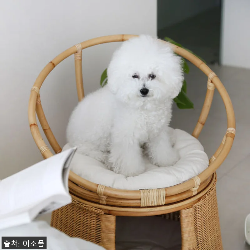 라탄 고양이집 의자 숨숨집 사용후기: 관련 이미지 6