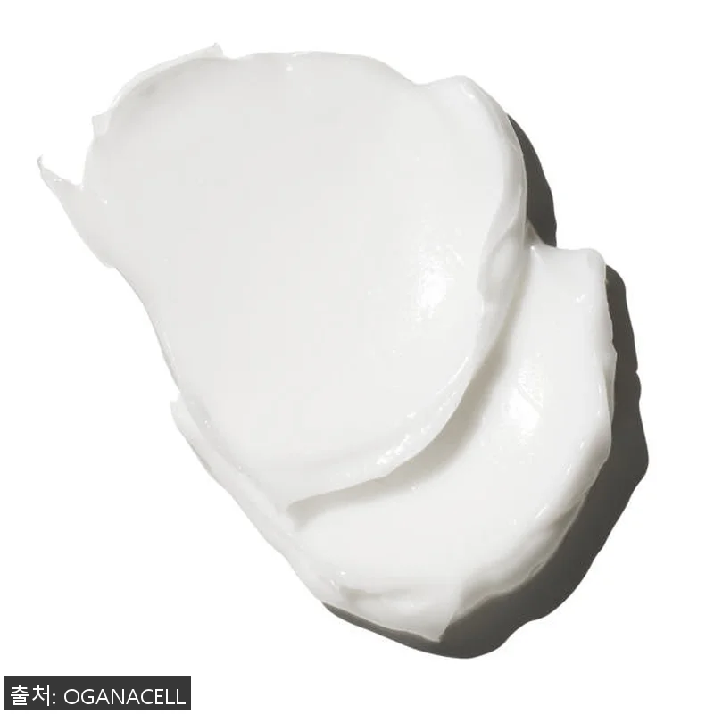 오가나셀 펩타이드 리커버리 크림 대용 관련 이미지 5