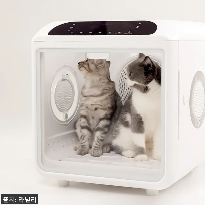 라빌리 펫드라이룸 사용후기: 반려동물 관련 이미지 7