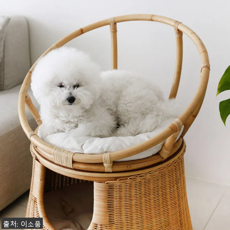 라탄 고양이집 의자 숨숨집 사용후기: 관련 이미지 7