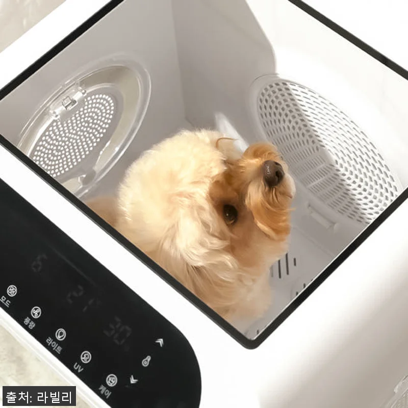 라빌리 펫드라이룸 사용후기: 반려동물 관련 이미지 8