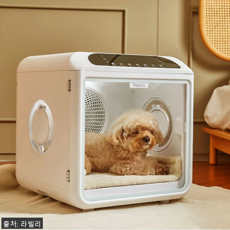 라빌리 펫드라이룸 사용후기: 반려동물 관련 이미지 9