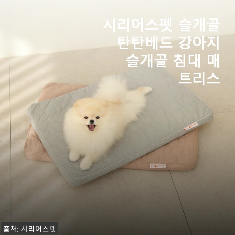 시리어스펫 슬개골 탄탄베드 사용후기: 우리 아이 편안한 휴식 공간