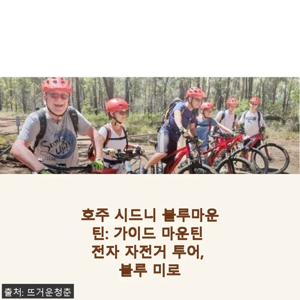 호주 시드니 블루마운틴 가이드 마운틴 전자 자전거 투어 사용후기