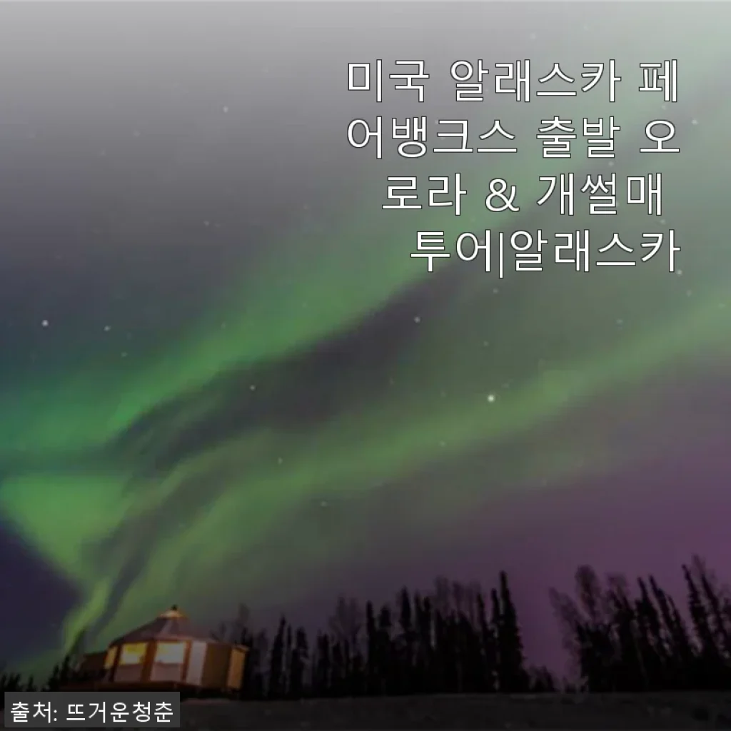 알래스카 페어뱅크스 출발 오로라 & 개썰매 투어 체험 후기