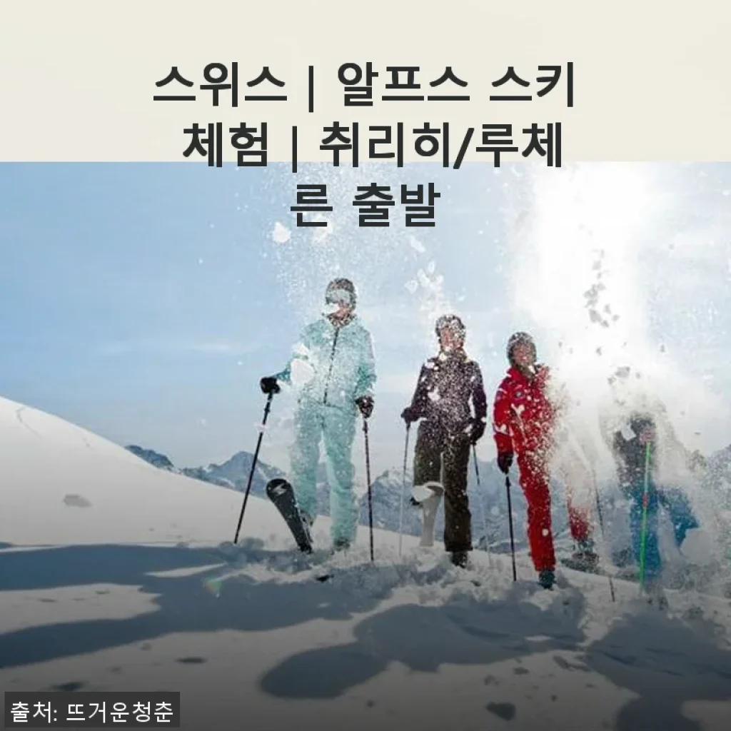 스위스 알프스 스키 체험 후기: 취리히에서 떠난 특별한 겨울 여행