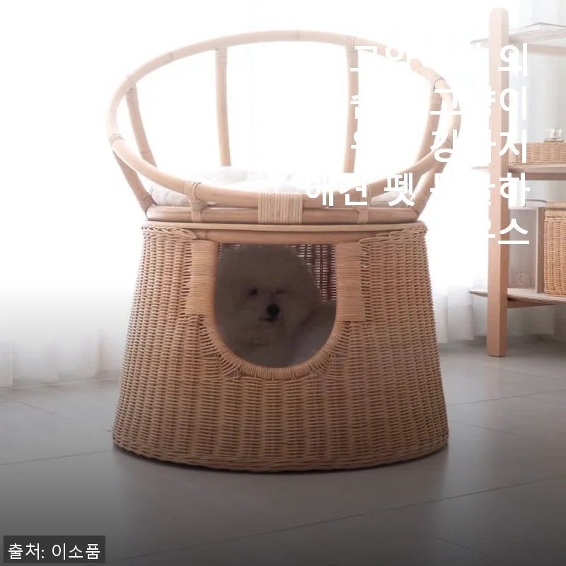 라탄 고양이집 의자 숨숨집 사용후기: 아늑함과 디자인을 동시에 만족시킨 펫 하우스