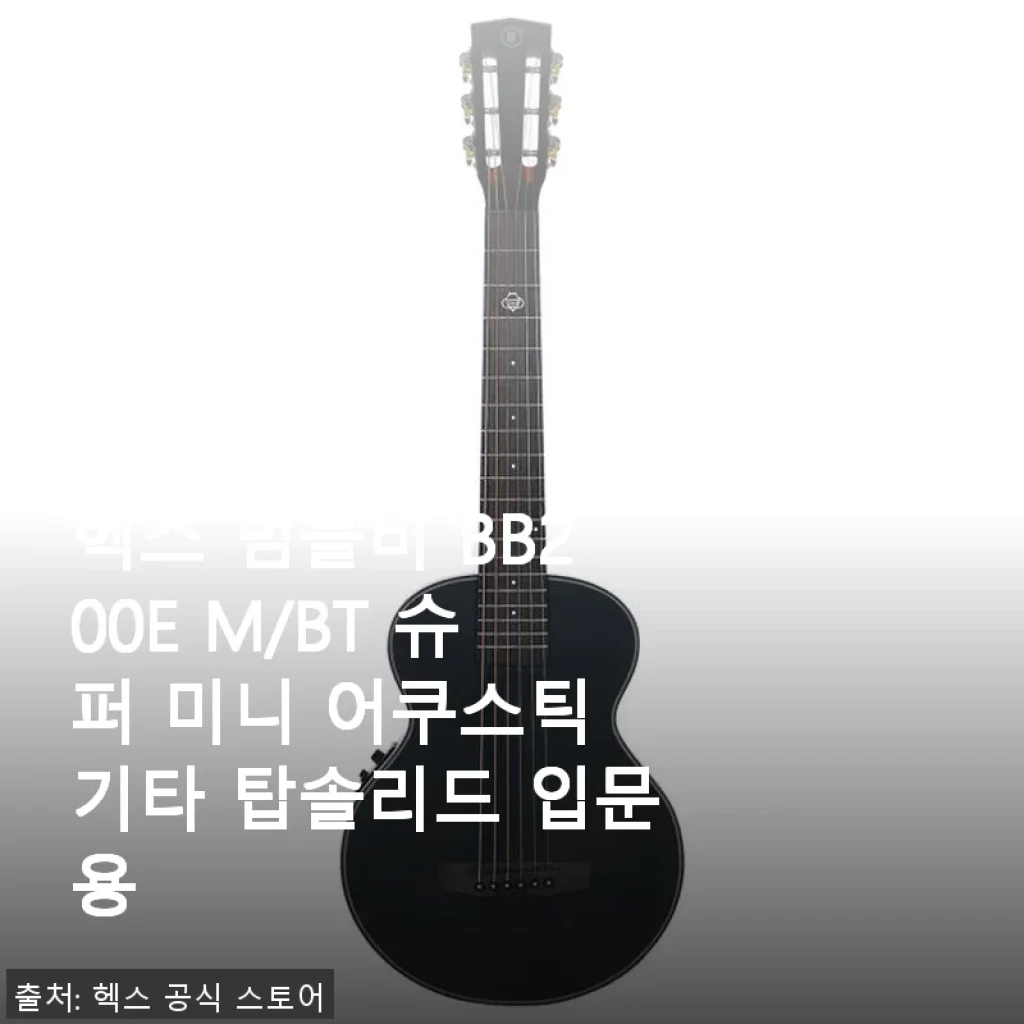 헥스 범블비 BB200E M/BT 슈퍼 미니 어쿠스틱 기타 사용후기