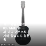 헥스 범블비 BB200E M/BT 슈퍼 미니 어쿠스틱 기타 사용후기