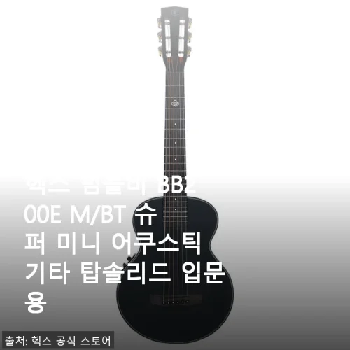 헥스 범블비 BB200E M/BT 슈퍼 미니 어쿠스틱 기타 사용후기