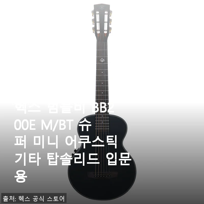 헥스 범블비 BB200E M/BT 슈퍼 미니 어쿠스틱 기타 사용후기