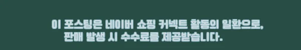 아이슬란드 KEF 공항 레이캬비크 시내 픽업샌딩, 피켓 서비스까지 챙긴 여행 준비 후기 4 이해관계문구