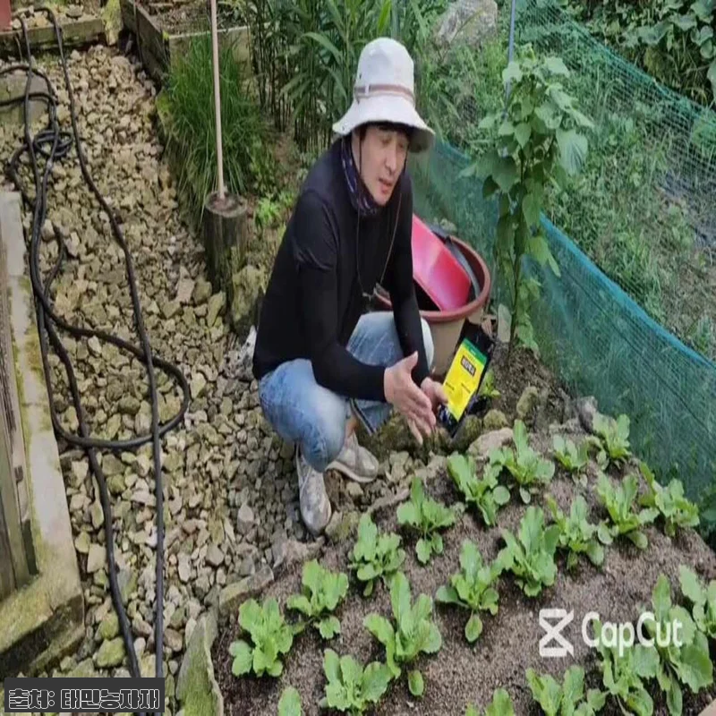 누림 비티박사 500g 찐후기 대신 구매 전 꼭 확인한 청벌레·나방류 충해관리용 유기농업자재 정보 4 누림 비티박사 500g 찐후기 대신 관련 이미지 1