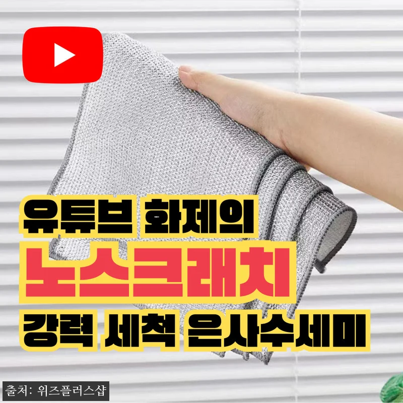 쇠수세미 노스크래치 스텐 철 은사수세미 양면, 무료배송 2,300원 구매 전 체크한 실속템 12 쇠수세미 노스크래치 스텐 철 은사수세 관련 이미지 1