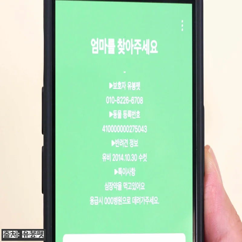 유봉펫 강아지 인식표 목줄 + 멀티 관련 이미지 3