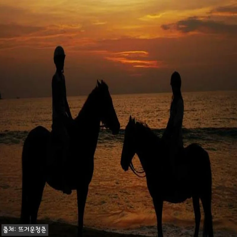 태국 푸켓 승마 체험 찐예약 가이드, 관련 이미지 3