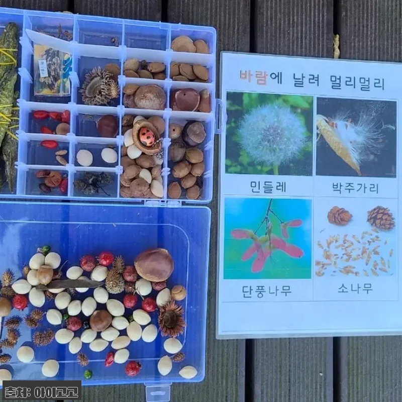 올림픽공원 어린이 할로윈 숲체험, 유 관련 이미지 3
