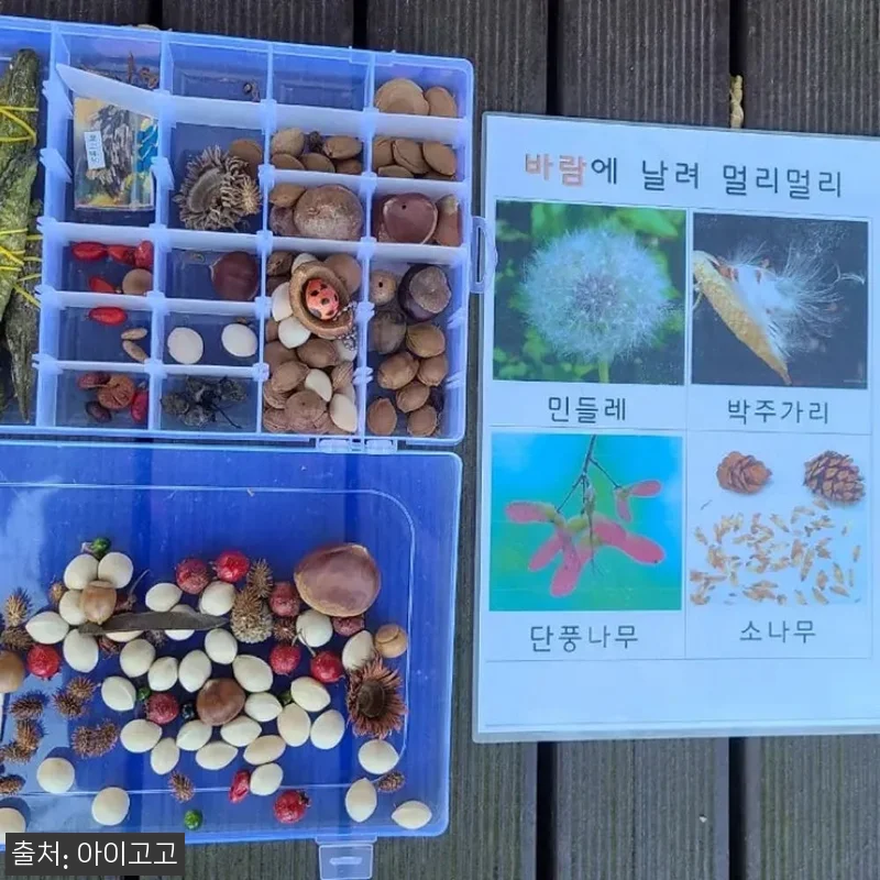 마포 상암월드컵공원 어린이 할로윈 숲 관련 이미지 3