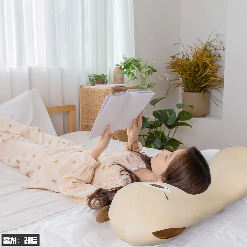 레토 쫀득한 모찌 인형 곰 바디필로우 100cm, 2만원대 무료배송으로 살펴본 이슈템 15 레토 쫀득한 모찌 인형 곰 바디필로우 관련 이미지 6