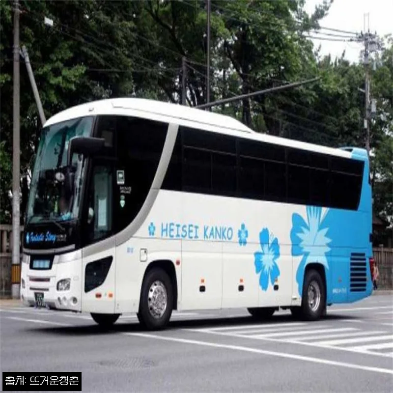 도쿄 가마쿠라 에노시마 버스 일일 투어, 이동 걱정 줄인 알찬 당일 코스 체크 후기
