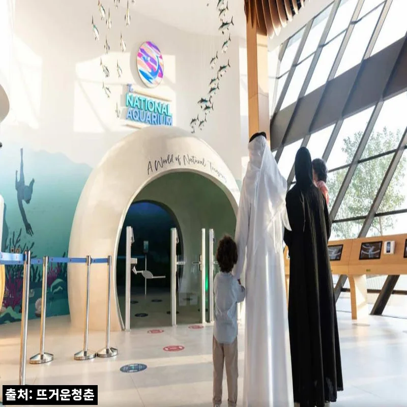 아랍에미리트 아부다비 국립 아쿠아리움 입장권, 여행 전 바우처 수령법까지 꼼꼼히 확인한 후기