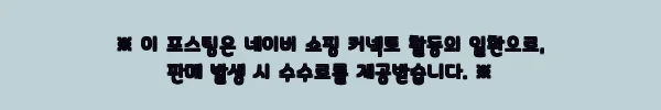 미국 생어거스틴 일일 투어 + 왕복 이동 서비스, 올랜도 출발 일정 짤 때 눈여겨볼 52% 할인 이슈템 9 이해관계문구