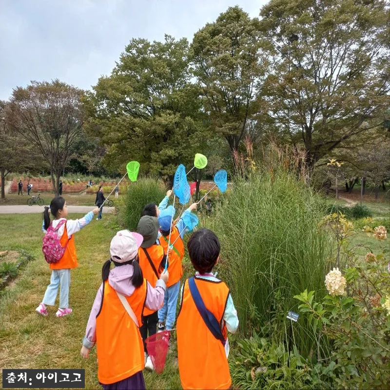 분당율동공원 깨비의숲마을 숲체험, 가 관련 이미지 1