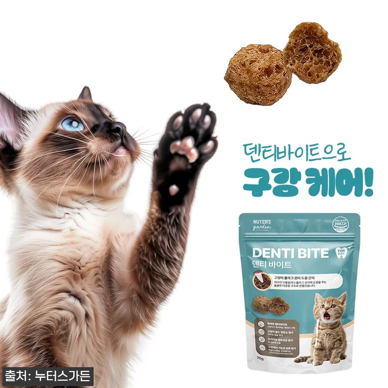 누터스가든 덴티바이트 고양이 간식 70g 3개, 60% 할인 중이라 구매 전 체크한 정보 6 누터스가든 덴티바이트 고양이 간식 7 관련 이미지 1