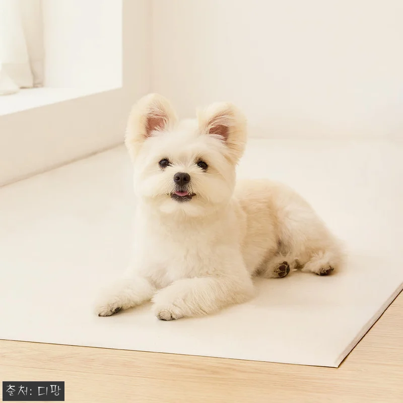 디팡 커스텀 100x200cm 펫 미 관련 이미지 1