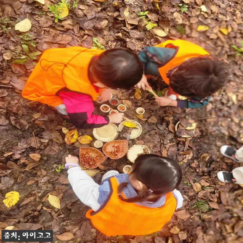 분당율동공원 깨비의숲마을 숲체험, 가 관련 이미지 2