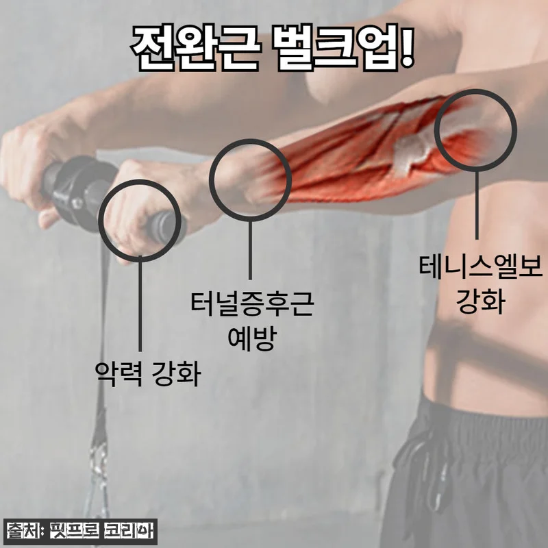 팔뚝미남 추감기 전완근 운동기구 리스트롤러, 집에서 팔 운동 루틴 챙기기 좋은 이슈템 13 팔뚝미남 추감기 전완근 운동기구 리스 관련 이미지 2
