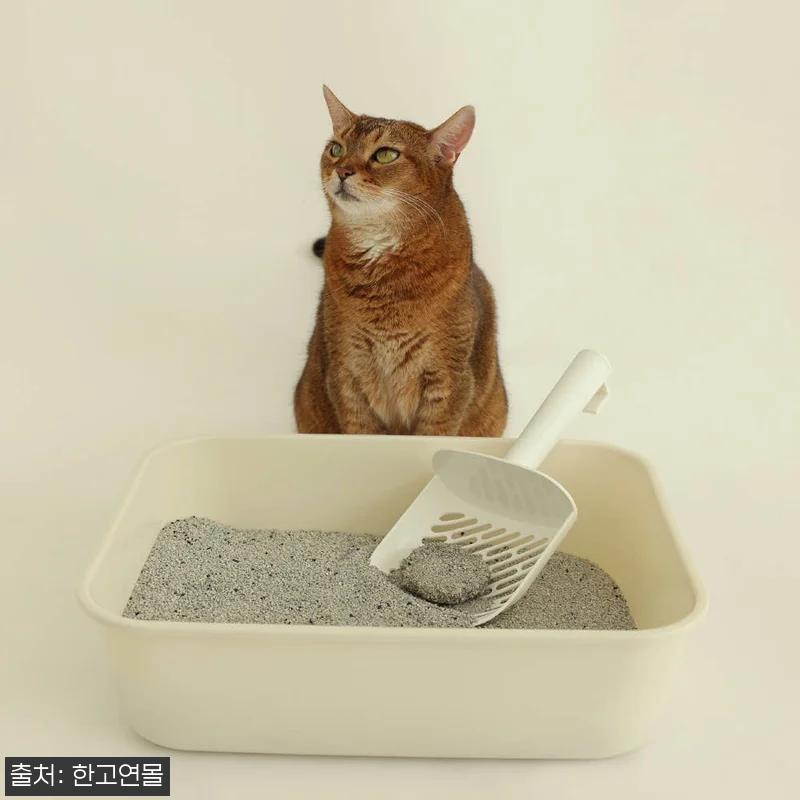 아메리칸솔루션 아이솔레이트 고양이모래 관련 이미지 2