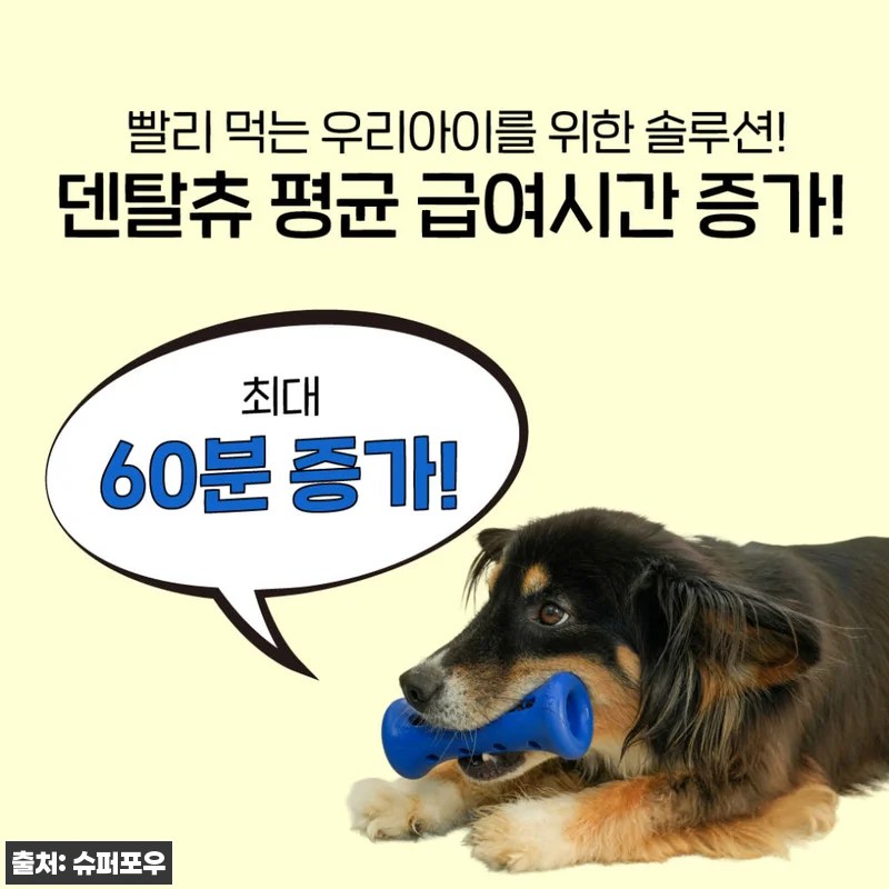 슈퍼포우 오래츄 부스터 S 스타터팩 슈퍼 레드, 혼자 노는 시간 채워줄 노즈워크 이슈템 10 슈퍼포우 오래츄 부스터 S 스타터팩 관련 이미지 2