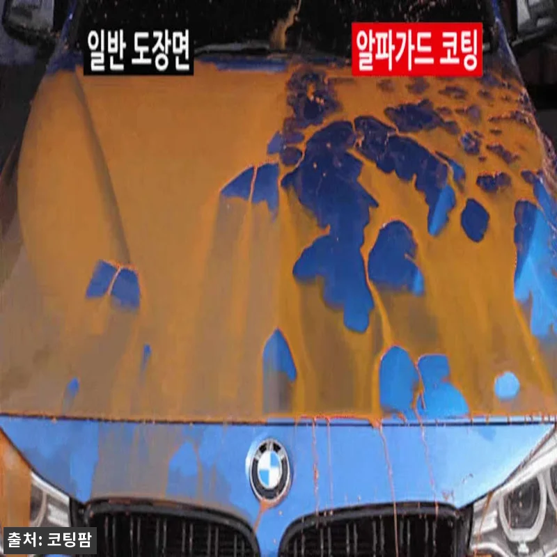 물왁스 알파가드그래핀 SiO2 카나우 관련 이미지 2
